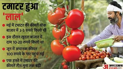 Tomato Price Hike: Low Production And Heatwave Raise Tomato Prices in Many Areas News in Hindi