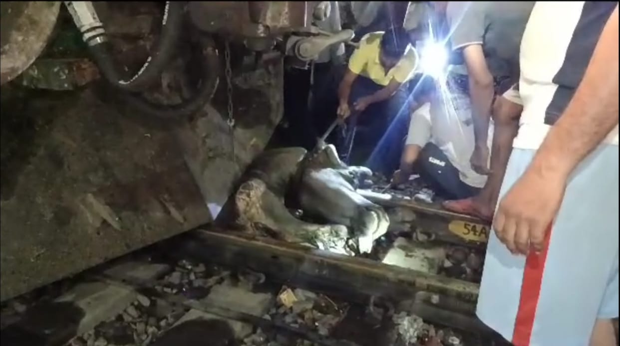 Buffalo stuck in the engine of Suryanagari Express train in Pali, it took three and a half hours to remove