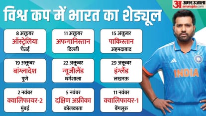 World Cup 2023 Which teams will compete in the World Cup final Sehwag and Muralitharan pick their finalists
