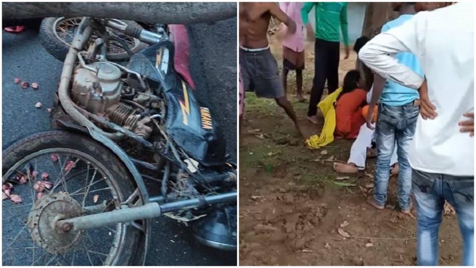 Death due to lightning and then a tree fell on a bike rider