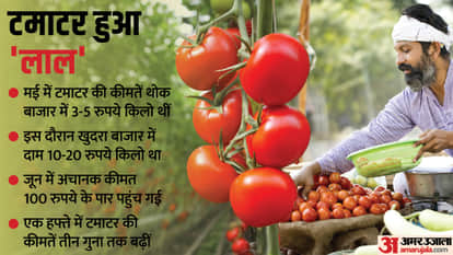 टमाटर की कीमतों में उछाल।
