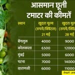 टमाटर