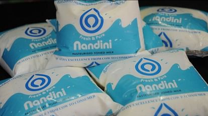 Nandini: कर्नाटक के सहकारी दूध संघ नंदिनी ने दक्षिण विस्तार के योजना पर लगाया ब्रेक, जानिए क्या है पूरा मामला Cooperative milk Nandini of Karnataka holds plan of expansion in South