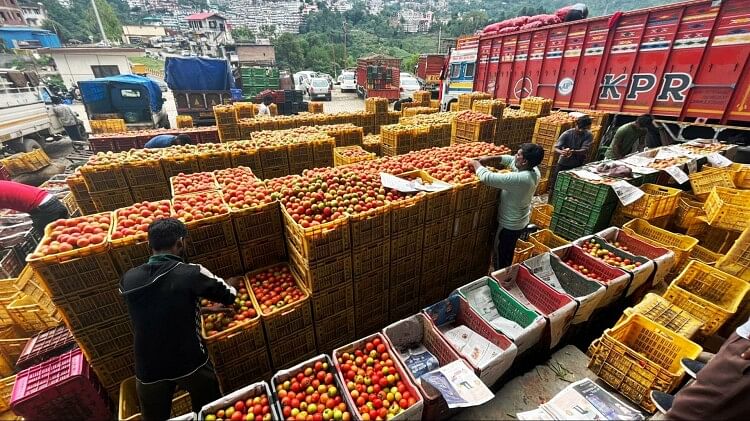 city wise tomato prices in india and reason for this hike and when people will get relief