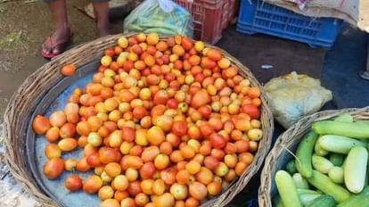 Bihar News: Increase in the price of tomato in Bihar, price has crossed Rs 100, farmers are worried, Mandi