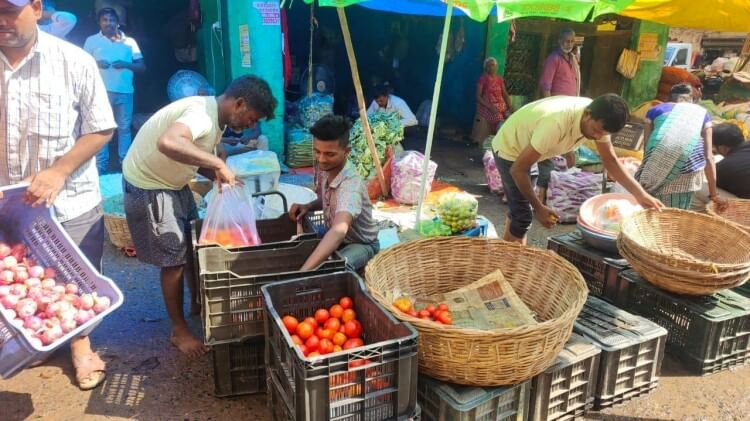 Tomatoes prices started decreasing, reached Rs 30 per kg in Meerut