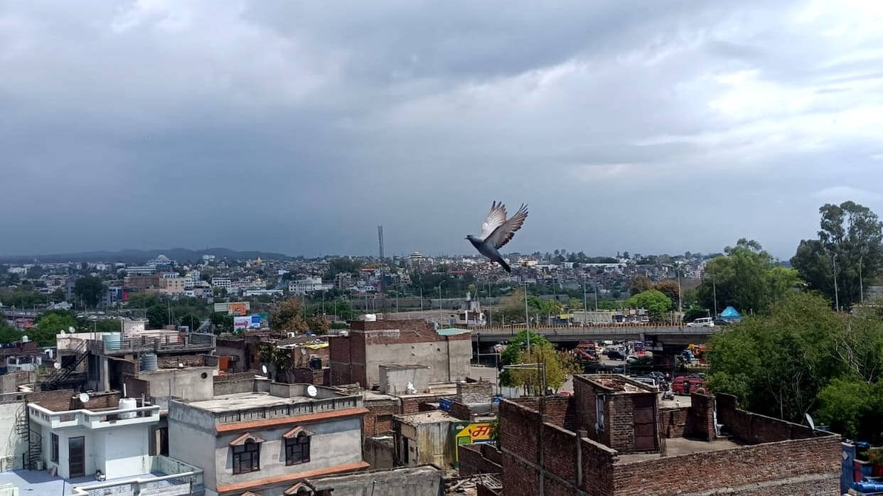 Jammu Kashmir weather Feeling of heat again amid clear weather rain expected in some parts today