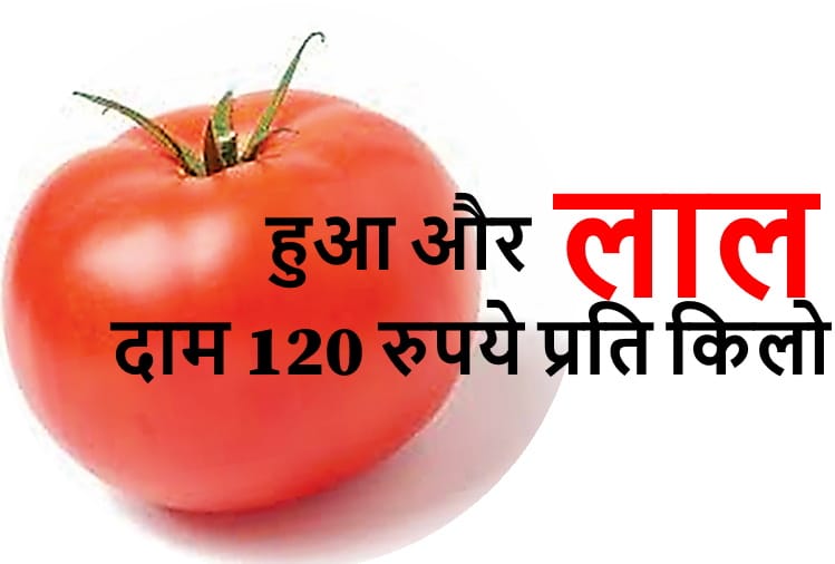 Inflation hit: Ginger-tomato out of reach, vegetables have doubled in cost