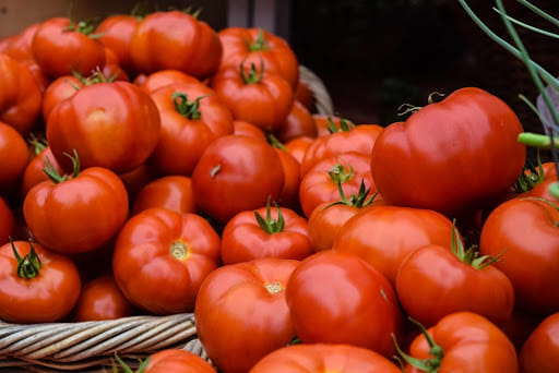 Tomato prices will remain high for a month, supply will increase in mandis after new produce
