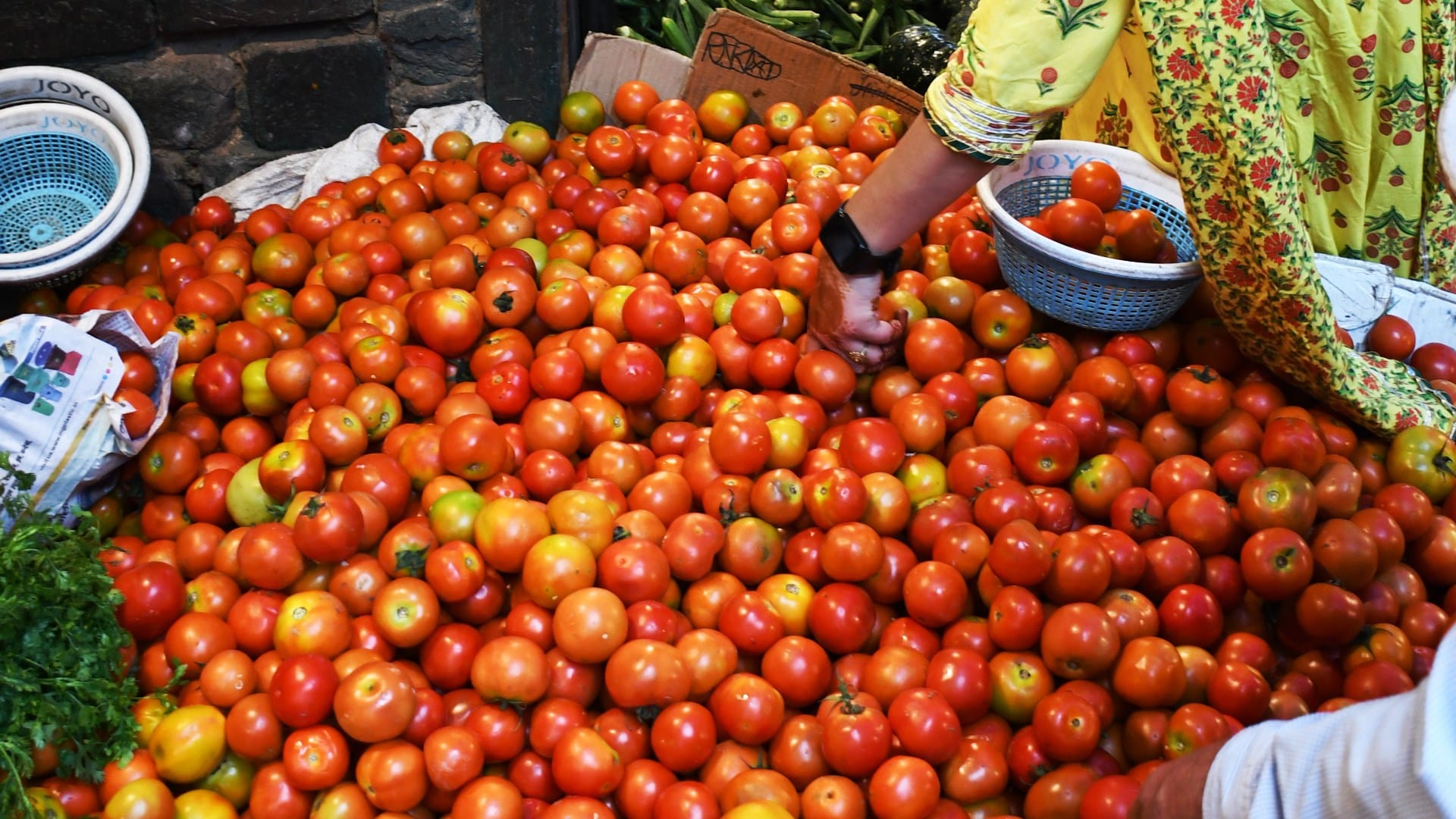 टमाटर Tomato