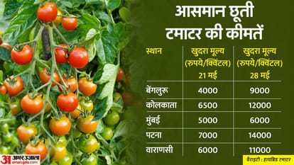 Along with tomatoes, the prices of other vegetables also increased when will people get relief