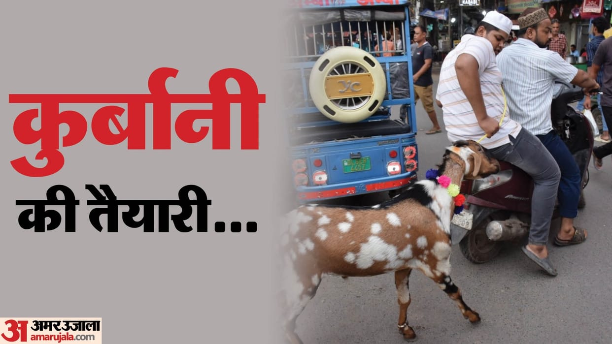 Purchase of goats at exorbitant prices in Delhi security tightened in many mosques including Jama Masjid