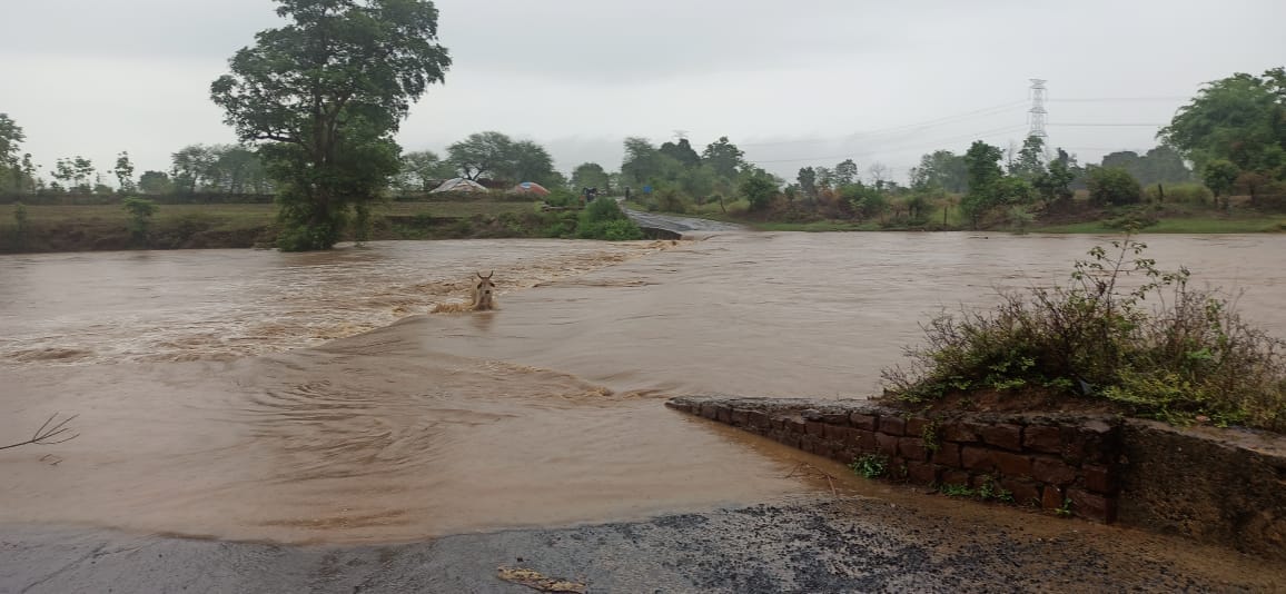 Damoh Rain: Pathaghat bridge submerged due to incessant rains in Damoh, 18 villages lost contact
