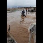 दमोह में उफनते नाले से गुजरता बाइक सवार।