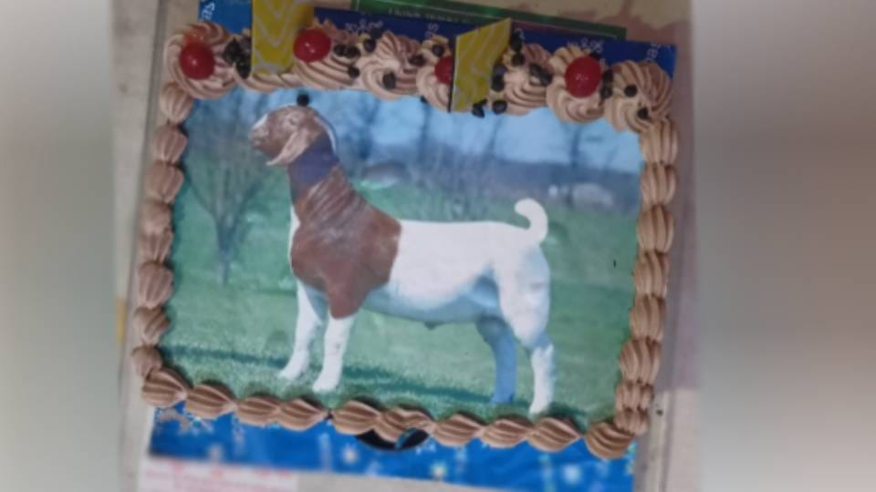 Chaman Sherwani family celebrate Bakrid by cutting cake with picture of a goat In Agra