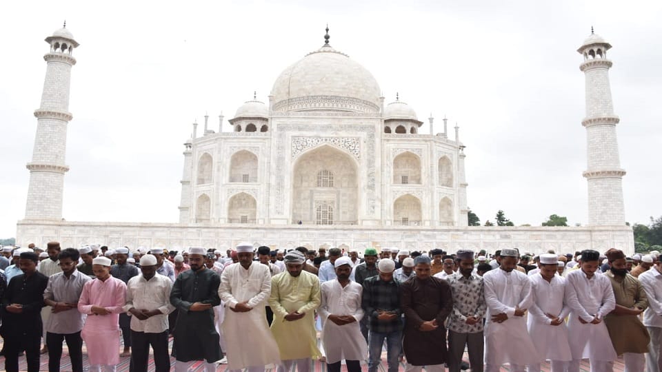 Namaz in the royal mosque of Taj Mahal in agra