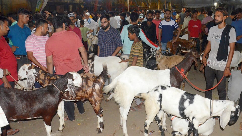 tight security in bareilly on Eid al-Adha