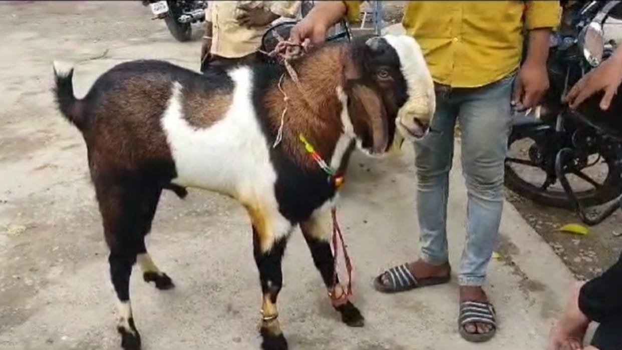 Car parked in front of Atiq's broken house, thieves escaped after stealing three goats.