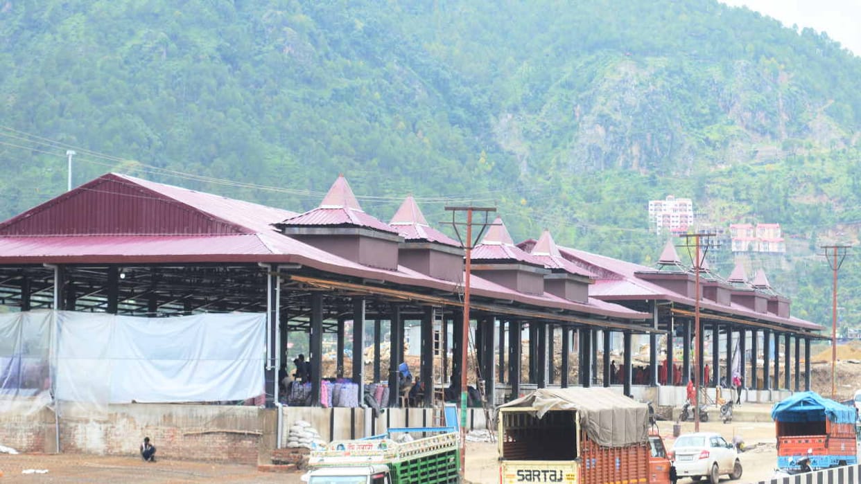 Himachal Apple Season: Business will start in new apple market in Solan from July 15