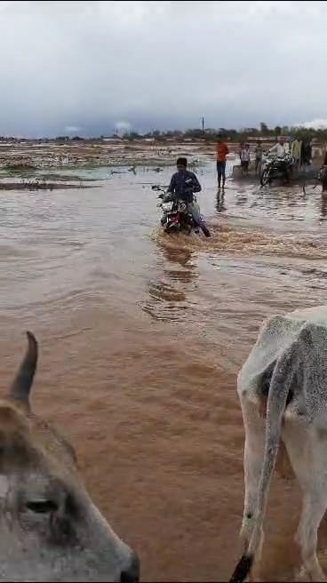Damoh: Bike rider crossing the overgrown bridge risking his life