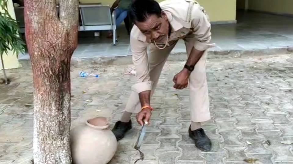 policemen are not afraid of miscreants but of scorpions in mansukhpura police station at Agra