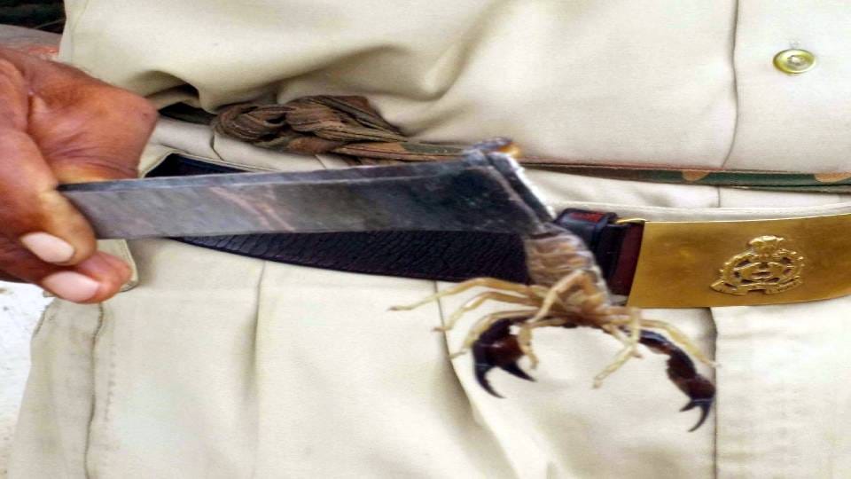 policemen are not afraid of miscreants but of scorpions in mansukhpura police station at Agra