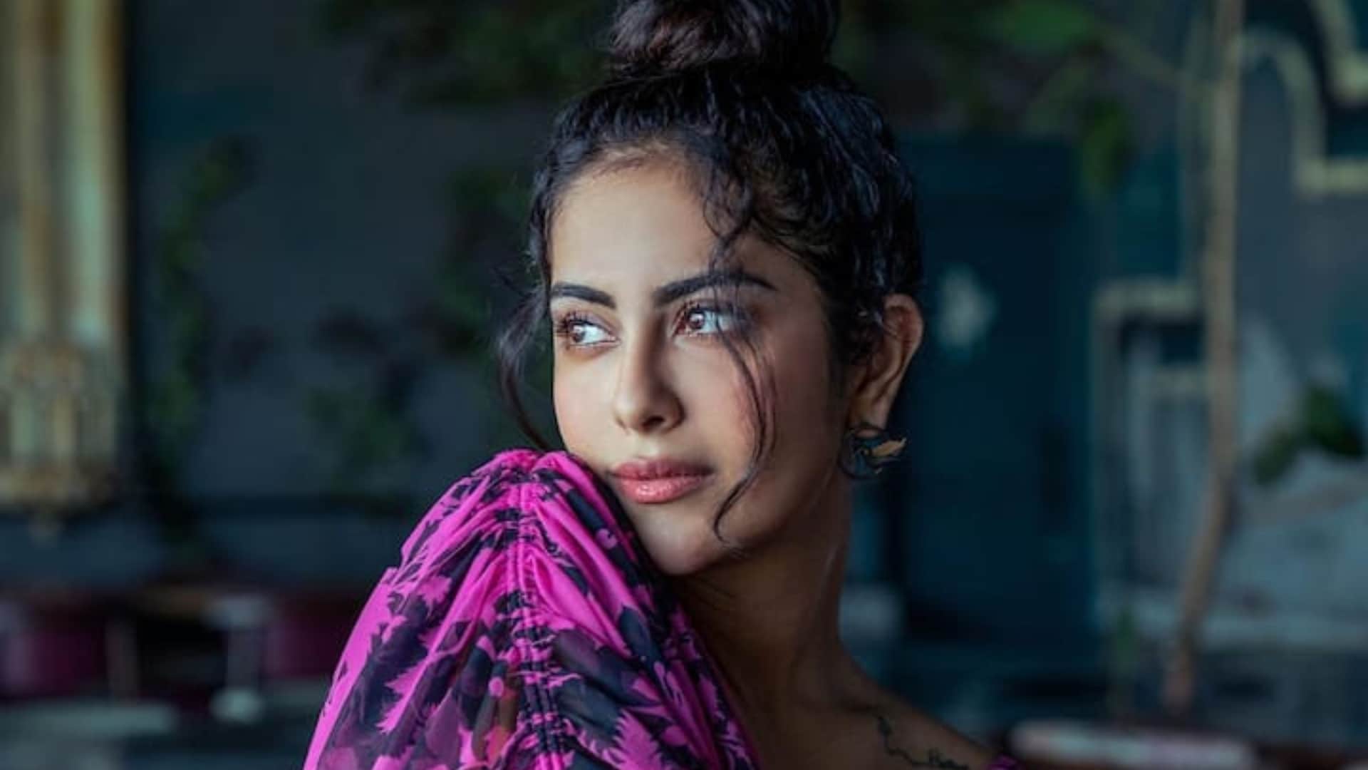 Avika Gor talks about her career struggle says she gets work because of her talent and not social media post