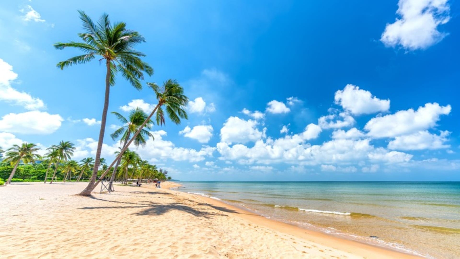 IRCTC Valentine Day Tour Package For Goa Check Fare Price And All Other Tour Details Here