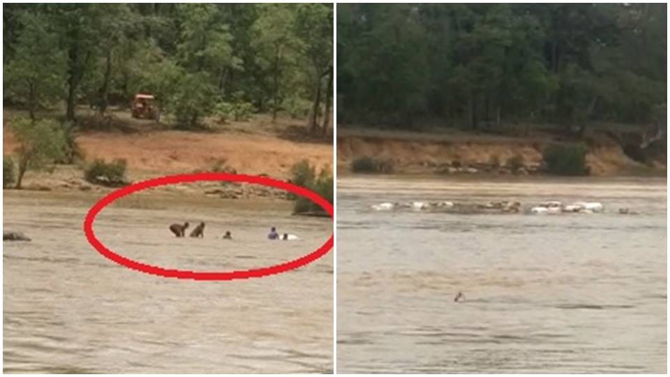 Boat overturned in Kotri river five people were on board