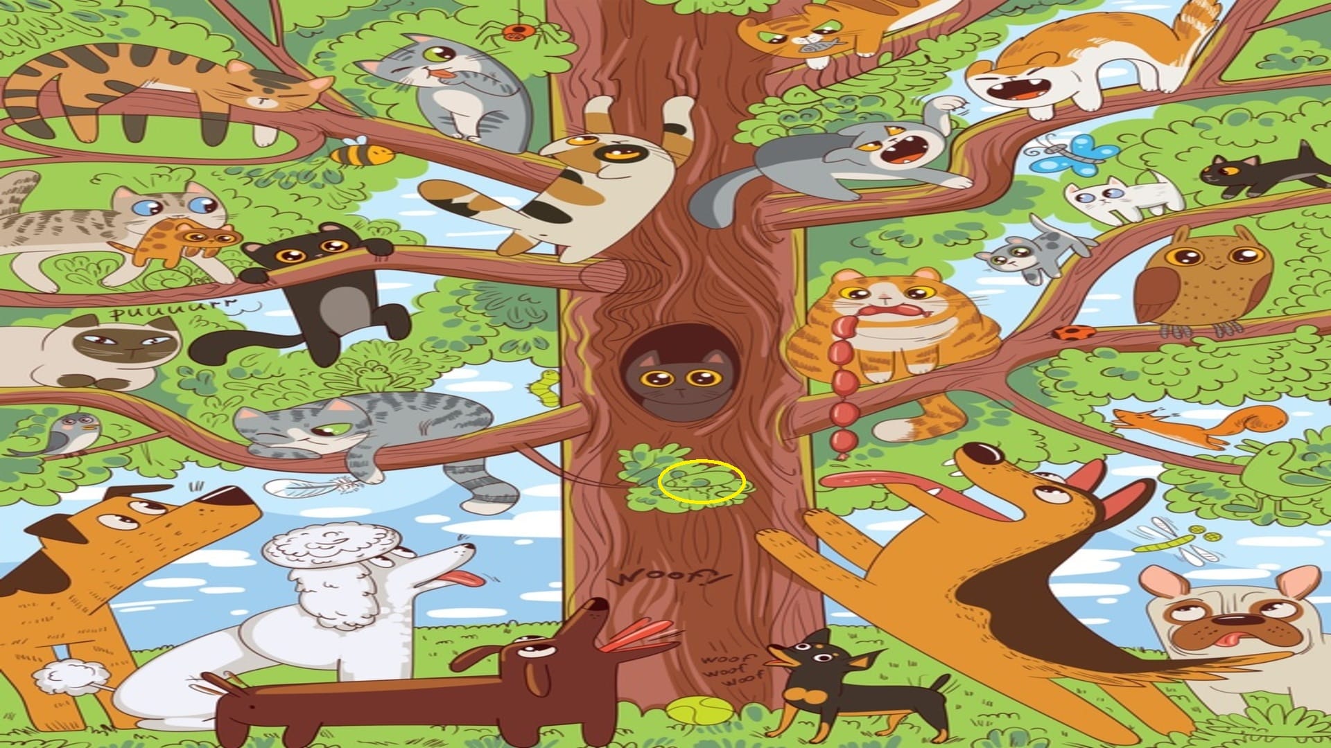 Optical Illusion: Can you find a rat in the room in 15 seconds? check your brain iq