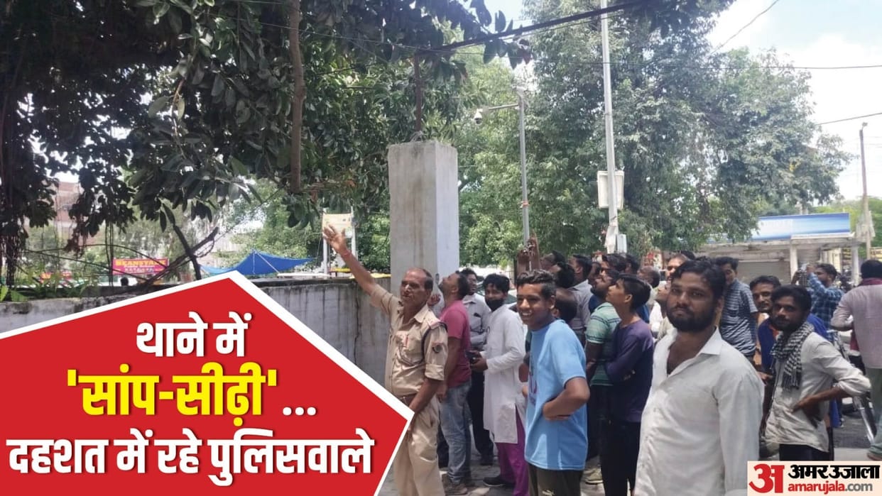 policemen got scared due to snake on the tree in police station