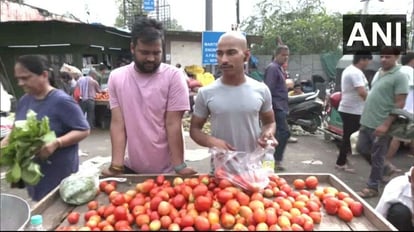 Tomato prices may increase further in the next 20 days in Delhi