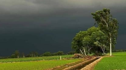 heavy rain forecast in Bareilly for next four days