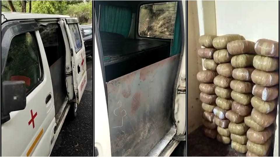 Smuggler caught carrying 200 kg of ganja in an ambulance in agra