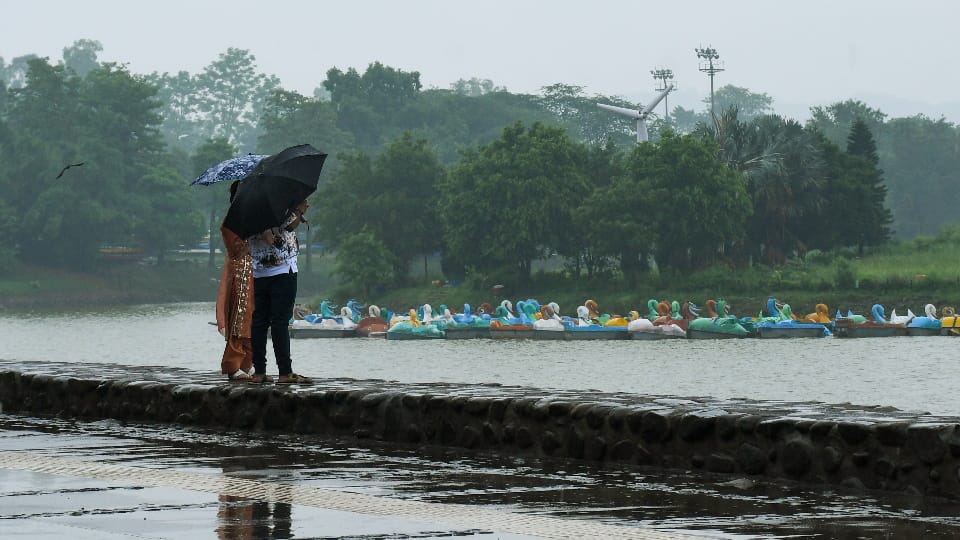 Punjab Weather News: Western disturbance will be active in Punjab from 25th November