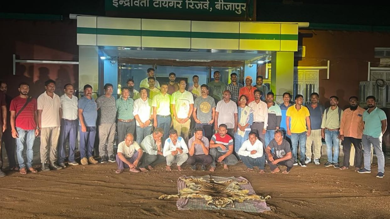 seven smugglers arrested with tiger skin in Bijapur
