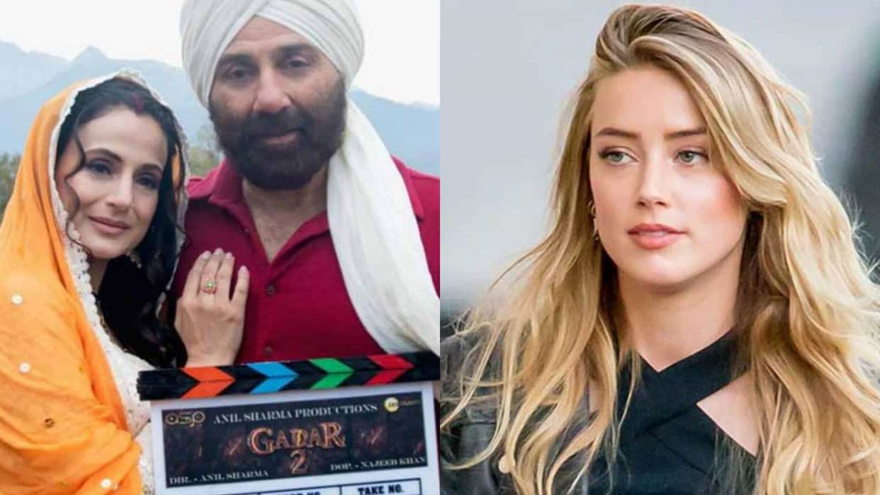 Filmy Wrap Gadar 2 Amber heard Animal Movie Mrunal thakur Vidya balan Balaji Mohan Entertainment top ten news