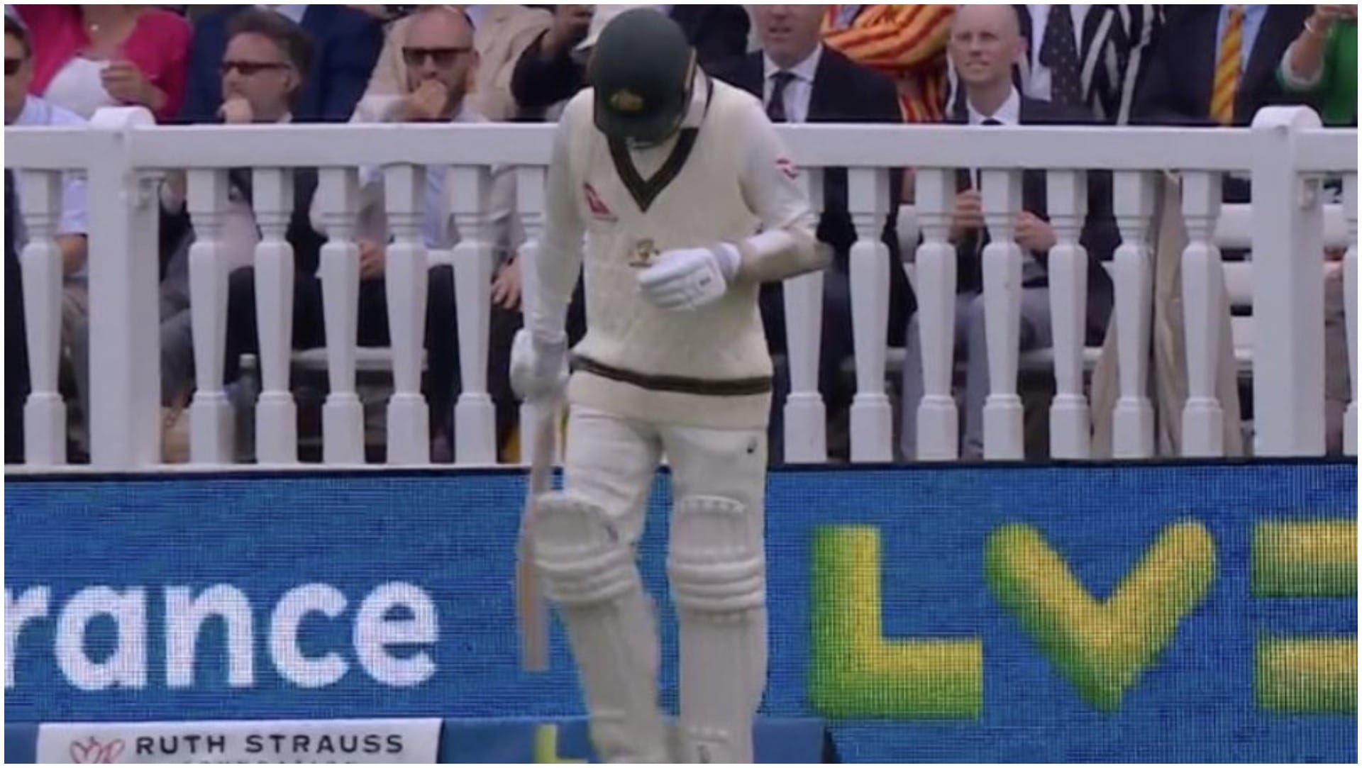 Ashes Injured Nathan Lyon wins hearts Batted with a limp the audience at Lords stood up applauded video watch