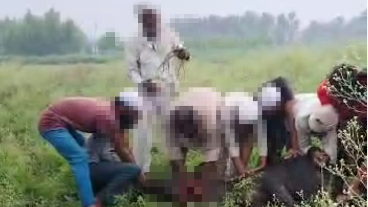 Case registered on 19 for animal cruelty in Sanauli of Panipat