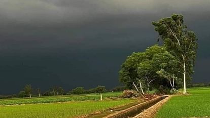 weather news chances of rain in Bareilly for two days