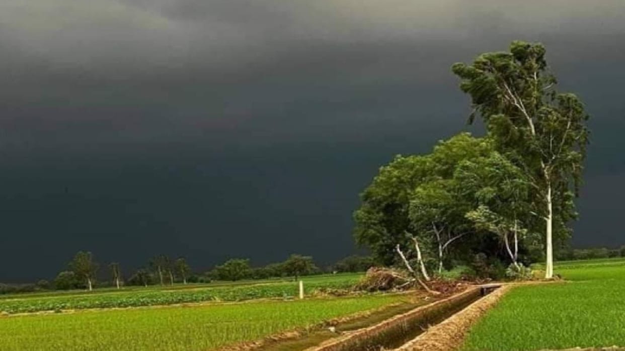 Meteorological Department expressed the possibility of rain in Rajasthan