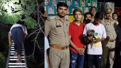 Fire brigade rescues eagle stuck in manjha in Budaun