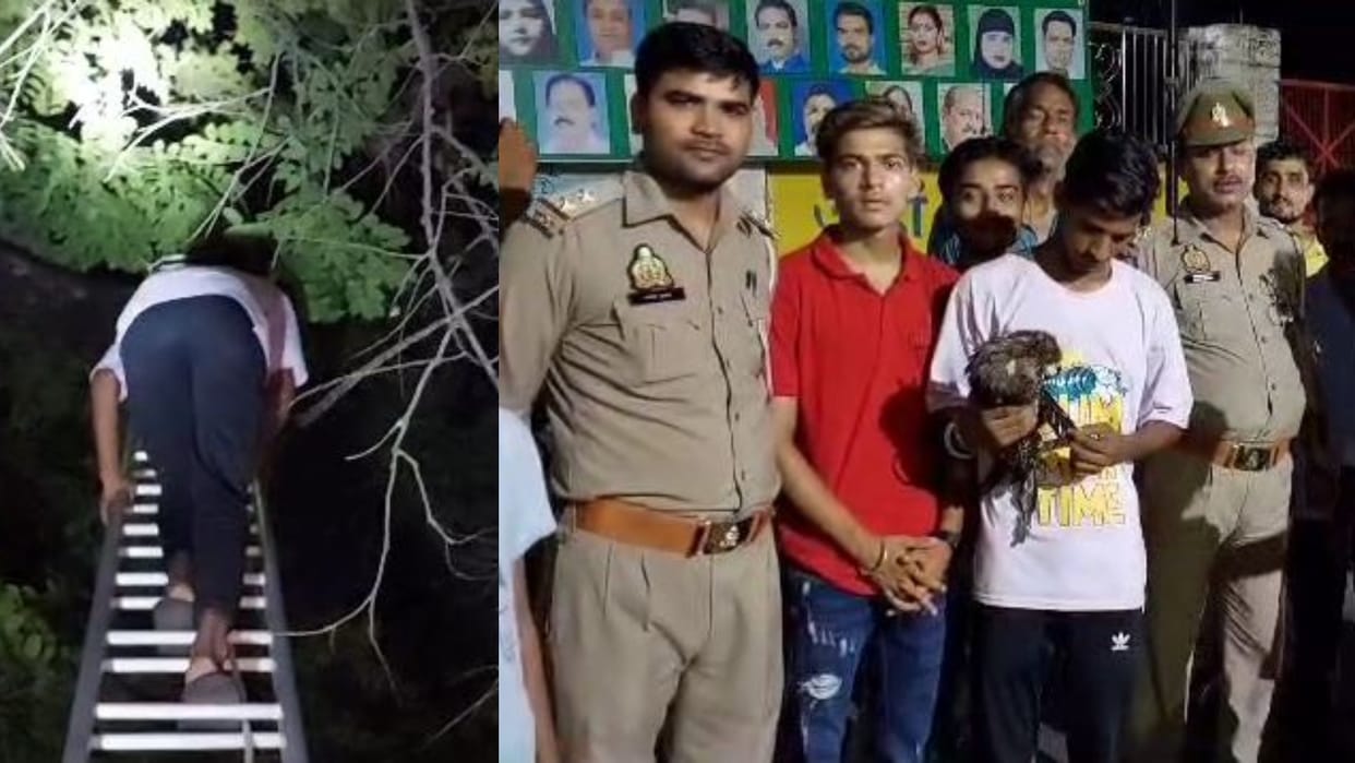 Fire brigade rescues eagle stuck in manjha in Budaun