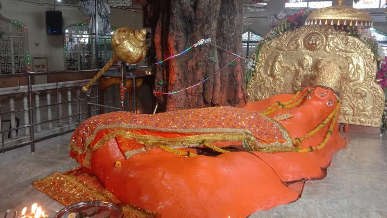 Chhindwara: Devotees fair held in Jamsanwali on Guru Purnima, devotees flock to Dadaji Dhuniwale Dham