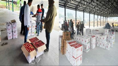 Apple business started in Solan and Parwanoo Mandi, sold by the kilo