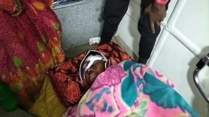 Bihar News: खेत से घर लौट रही महिला पर भालू ने किया हमला; चेहरे और पैर पर आईं गंभीर चोटें Bear attacked woman returning home from farm in Bettiah, serious injuries on face and leg