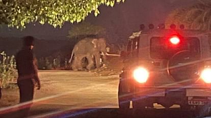 Chhattisgarh Elephant Attack: Elephant entered police control room in Balod Woman attacked in Korba