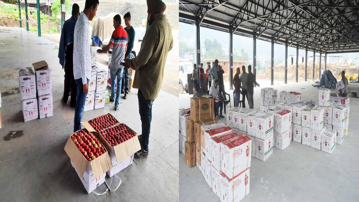 Apple business started in Solan and Parwanoo Mandi, sold by the kilo