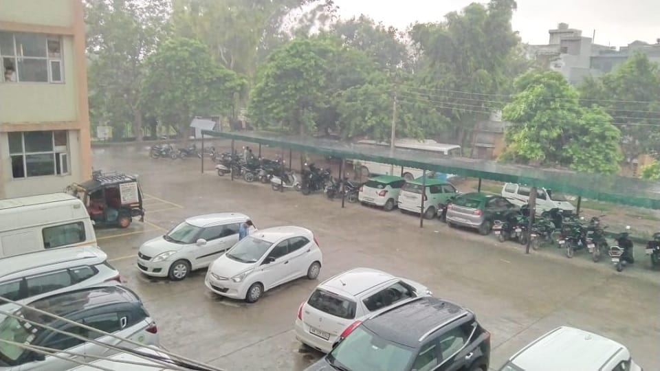 Haryana weather changed: Heavy rains in Gohana of Sonipat, happiness on faces of farmers