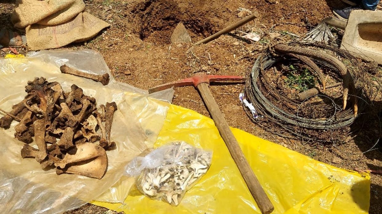 bones of poached tiger recovered CRPF officer accused of skin-dealing in bijapur